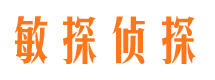 龙凤敏探私家侦探公司